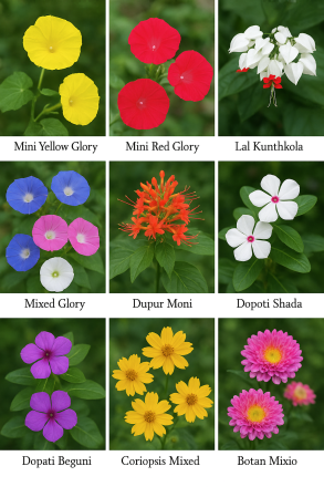 slider images